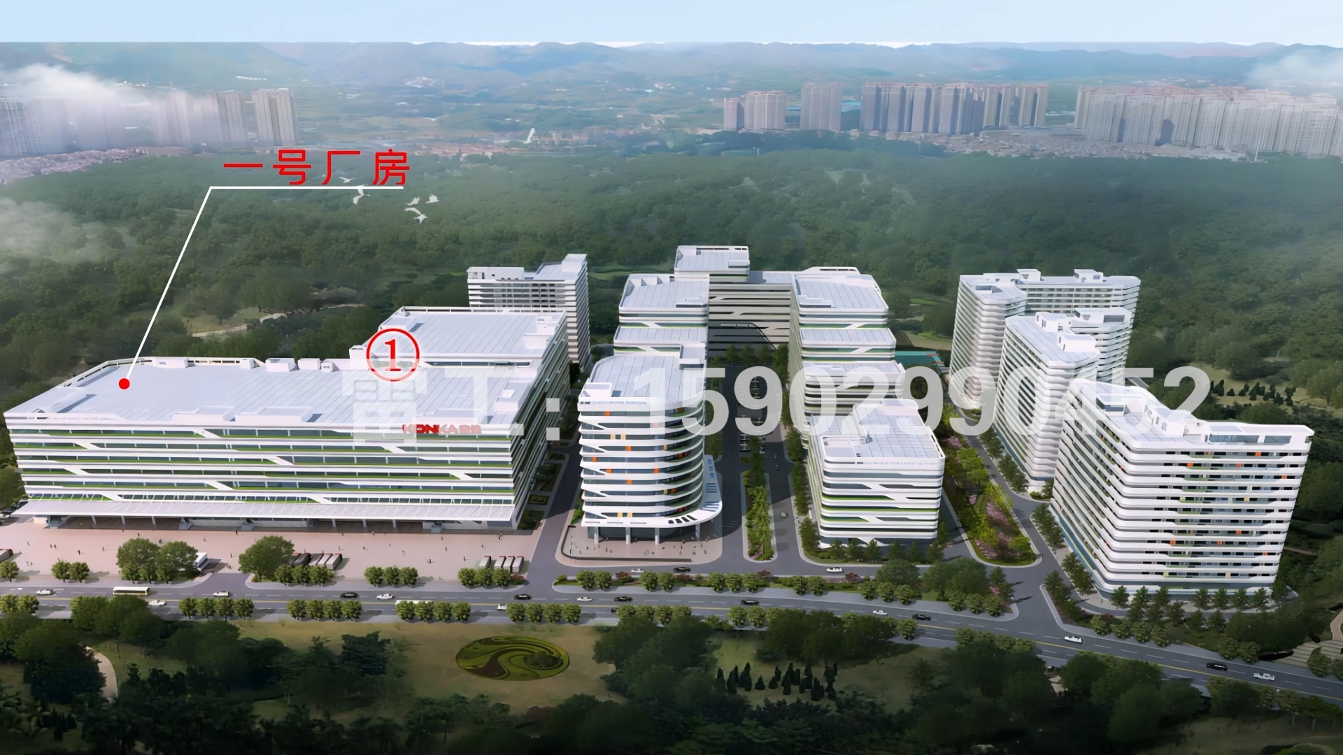微信截图_20250105231806.jpg
